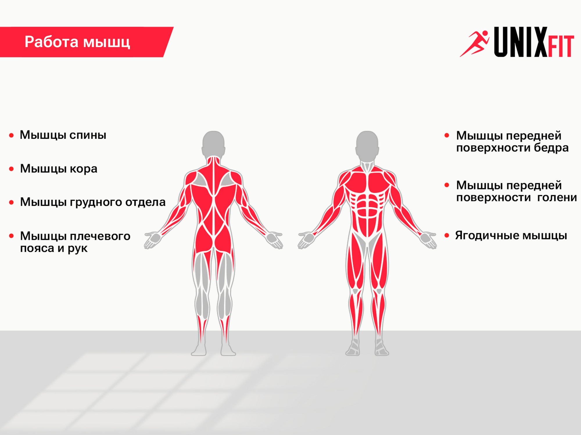 Силовой комплекс UnixFit BLOCK 70 BSBL70 | Premium Fitness