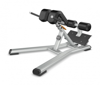 Precor Гиперэкстензия DBR312 | Premium Fitness