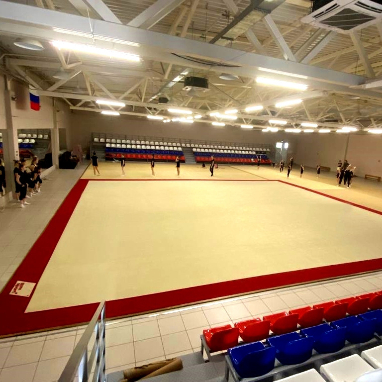 Ковер гимнастический GymSport PROF PREMIUM RED 14Х14