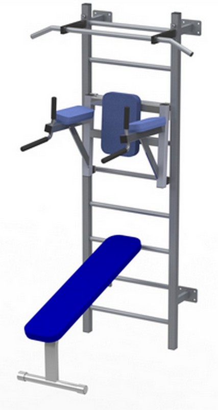 Брусья\Пресс навесные Foreman FY-279 | Premium Fitness