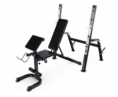 Скамья со стойками под штангу, с партой для бицепса DFC GORILLA 201321B черный | Premium Fitness