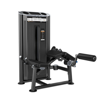 DHZ U2001 Сгибание ног лежа | Premium Fitness