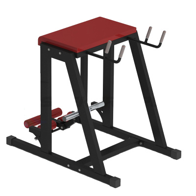 Обратная гиперэкстензия  со свободным весом и отягощением | Premium Fitness