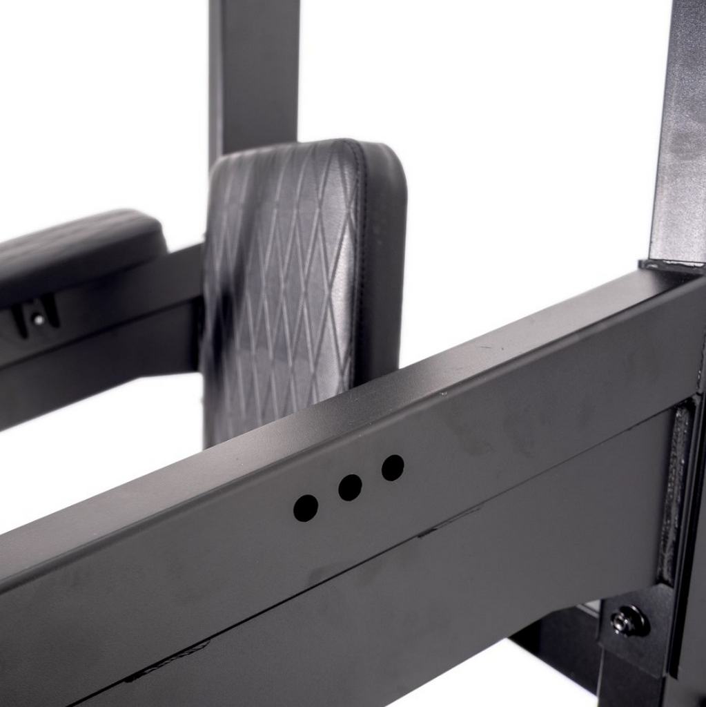 Турник\брусья\пресс Protrain GT-PTR (опция GT-PTR-PDA в комплекте) | Premium Fitness