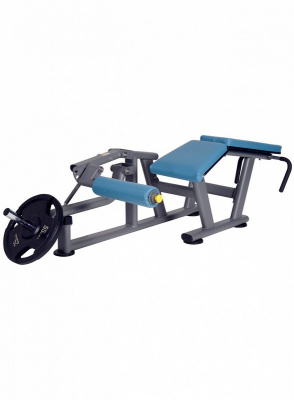 Сгибания Ног Лежа BenCarFitness TS-P012 | Premium Fitness