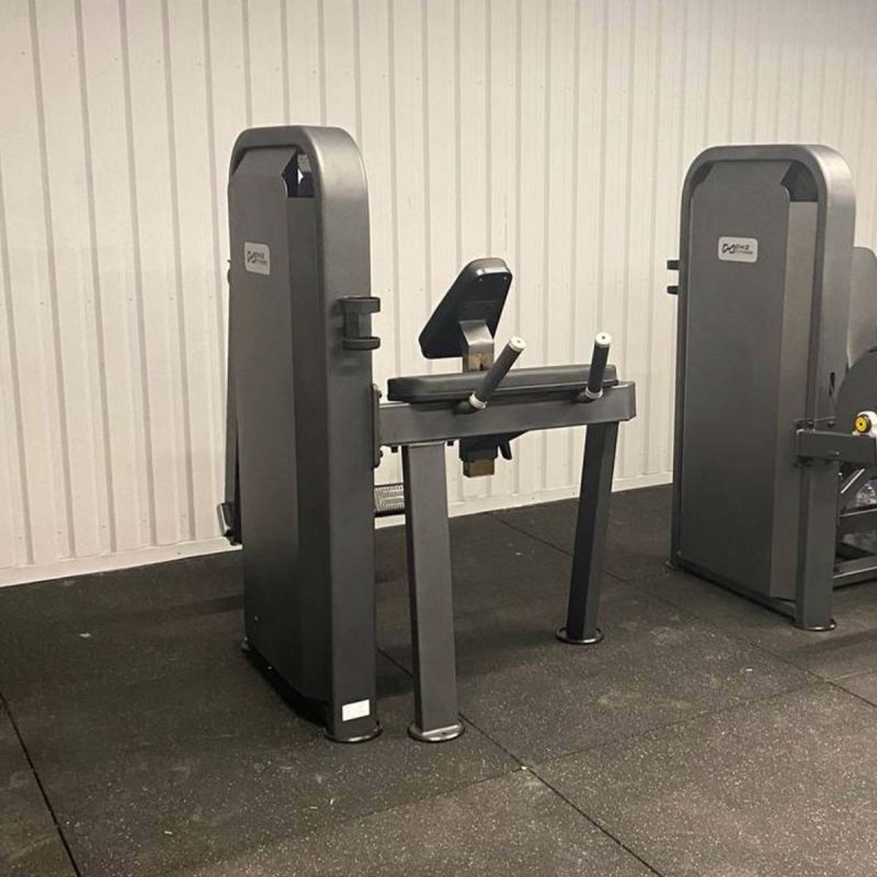 Глют-машина ягодичные DHZ U3024D E5024 | Premium Fitness