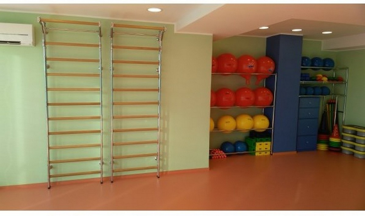 Шведская стенка (дуб, бук), 260x80см 1086 | Premium Fitness