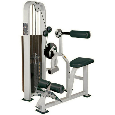 Пресс-разгибатель спины Johns 1018 SB | Premium Fitness