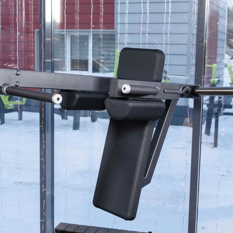 DHZ A610 Маятниковые приседания | Premium Fitness