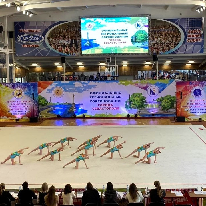 Ковер гимнастический GymSport PROF PREMIUM 4х11м