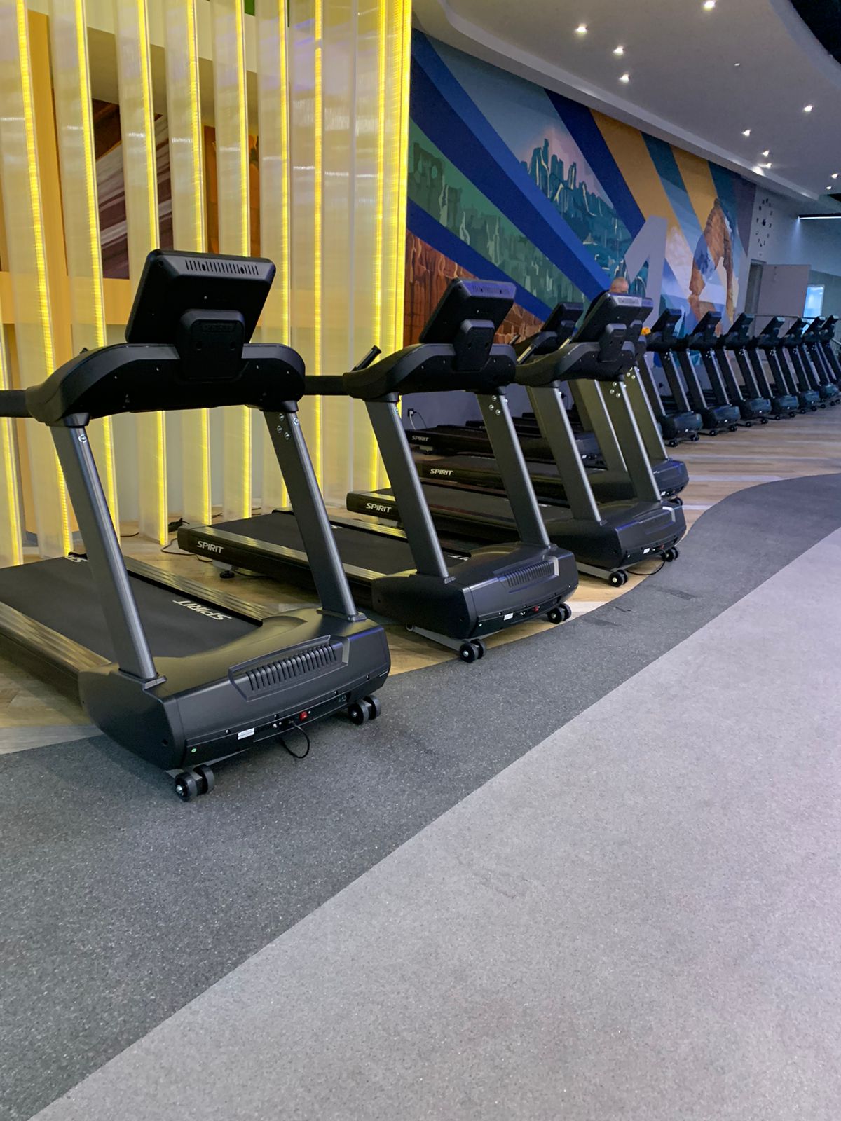 Беговая дорожка SPIRIT CT800+