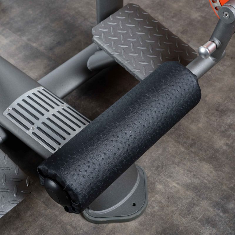 DHZ T924: Обратная гиперэкстензия | Premium Fitness