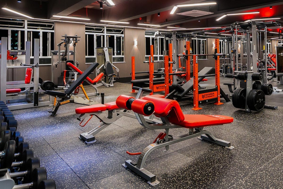 Скамья для пресса Foreman FW 512 | Premium Fitness