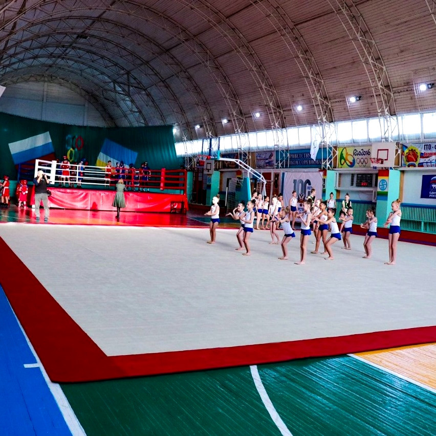 Ковер гимнастический GymSport PROF PREMIUM RED 14Х14