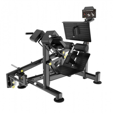 Гиперэкстензия многофункциональная на свободных весах Protrain LXP133 | Premium Fitness
