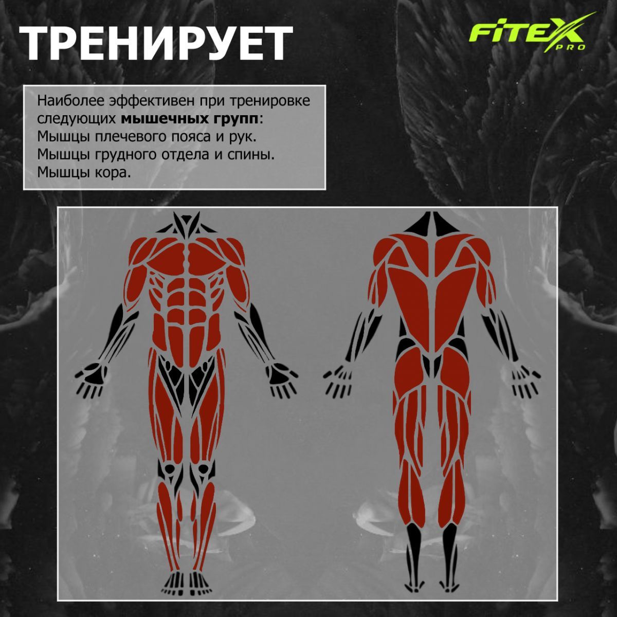 3-х позиционная станция Fitex Pro MEXICO FTX-5203 | Premium Fitness