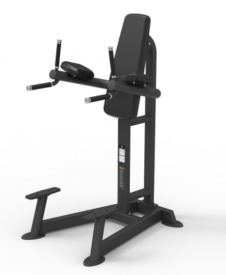 Пресс/брусья SPIRIT SP-4215 | Premium Fitness