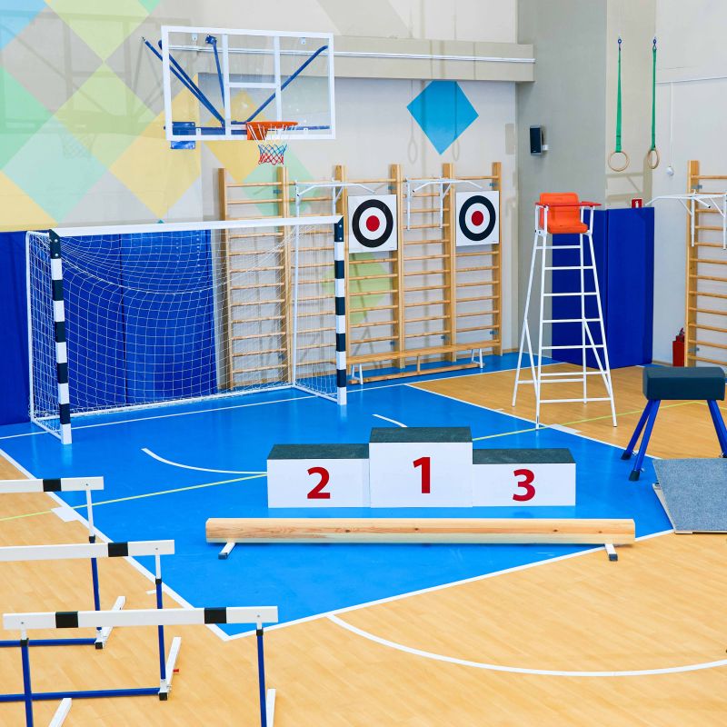 Щит для метания навесной на шведскую стенку (фанера) 700х700 Zavodsporta | Premium Fitness