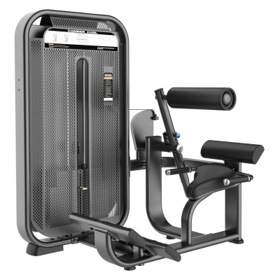 DHZ E7031 Разгибание спины | Premium Fitness