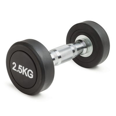 Гантель неразборная круглая 2,5 кг VictoryFit VF-R025