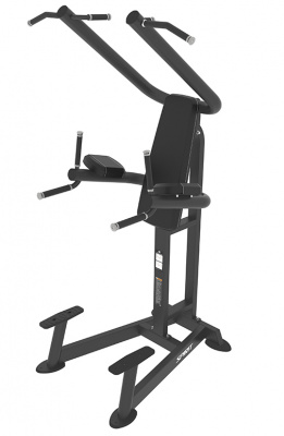 Подтягивания/ брусья / поднятие ног SPIRIT SP-4219 | Premium Fitness