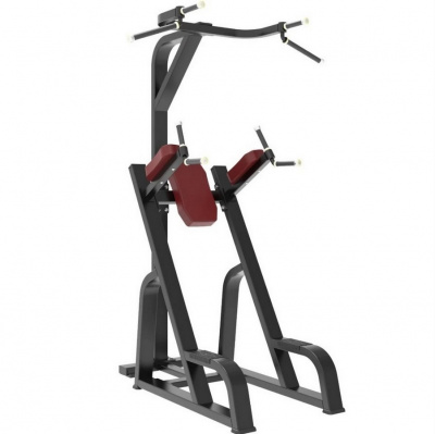 Турник\брусья\пресс Protrain BPL180 | Premium Fitness