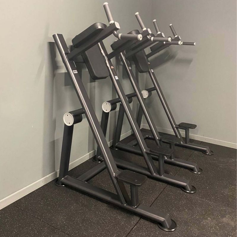 Брусья-пресс DHZ U2047 | Premium Fitness