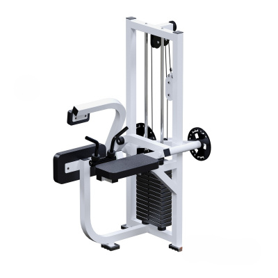 Бицепс, Трицепс и Пресс ARMS INVAR056 | Premium Fitness