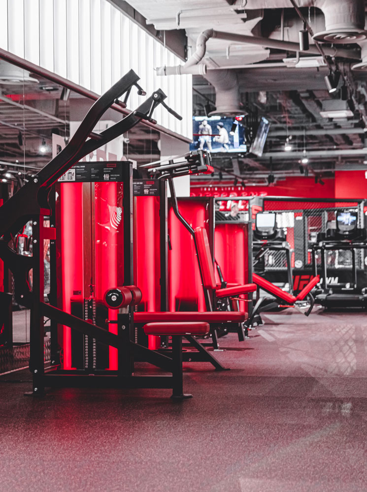Foreman FN-301 тяга сверху (вертикальный блок) | Premium Fitness