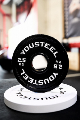 Стальной диск 2,5кг YouSteel