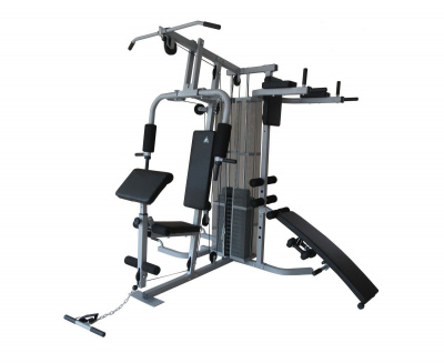 Силовой комплекс DFC D7005A | Premium Fitness