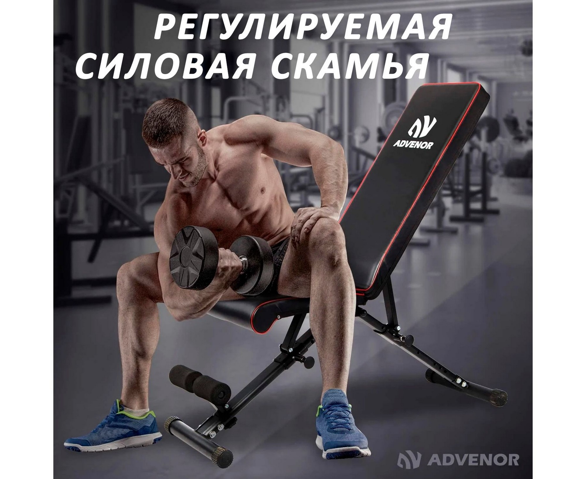 Cкамья силовая универсальная DFC B-ADVENOR | Premium Fitness