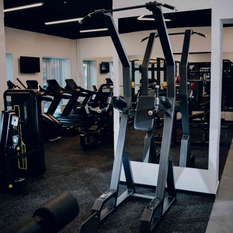 Брусья пресс турник DHZ A3049 | Premium Fitness