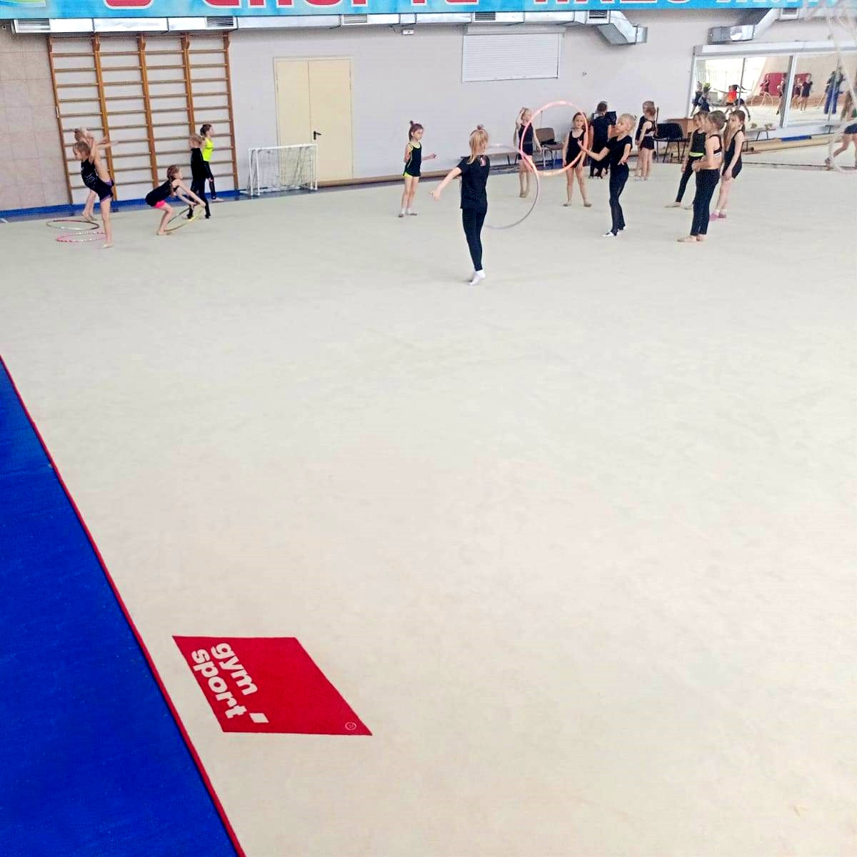 Ковер гимнастический GymSport PROF PREMIUM 4х11м