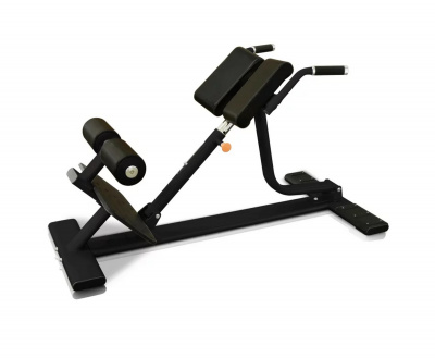 Гиперэкстензия UltraGym UG-CL303
 | Premium Fitness