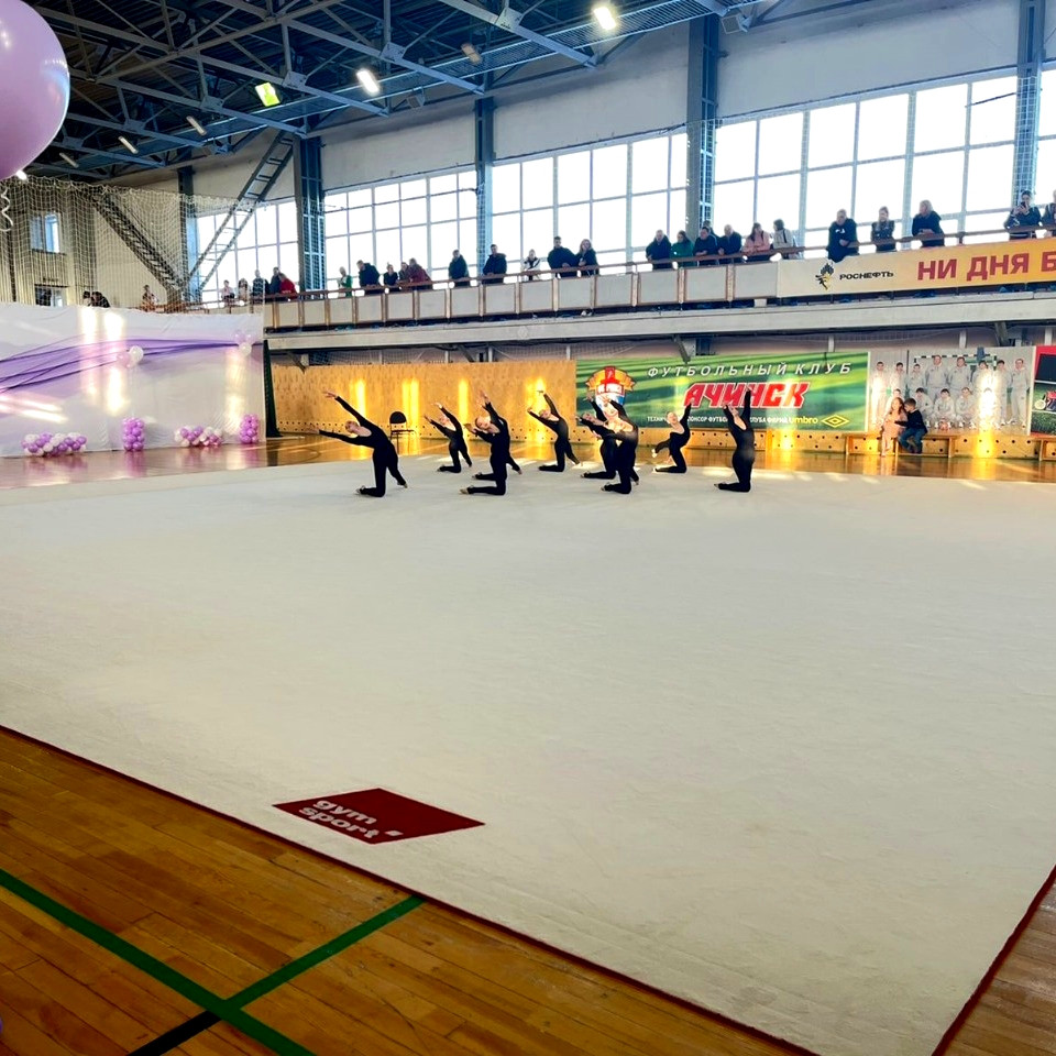 Ковер гимнастический GymSport PROF PREMIUM 4х11м