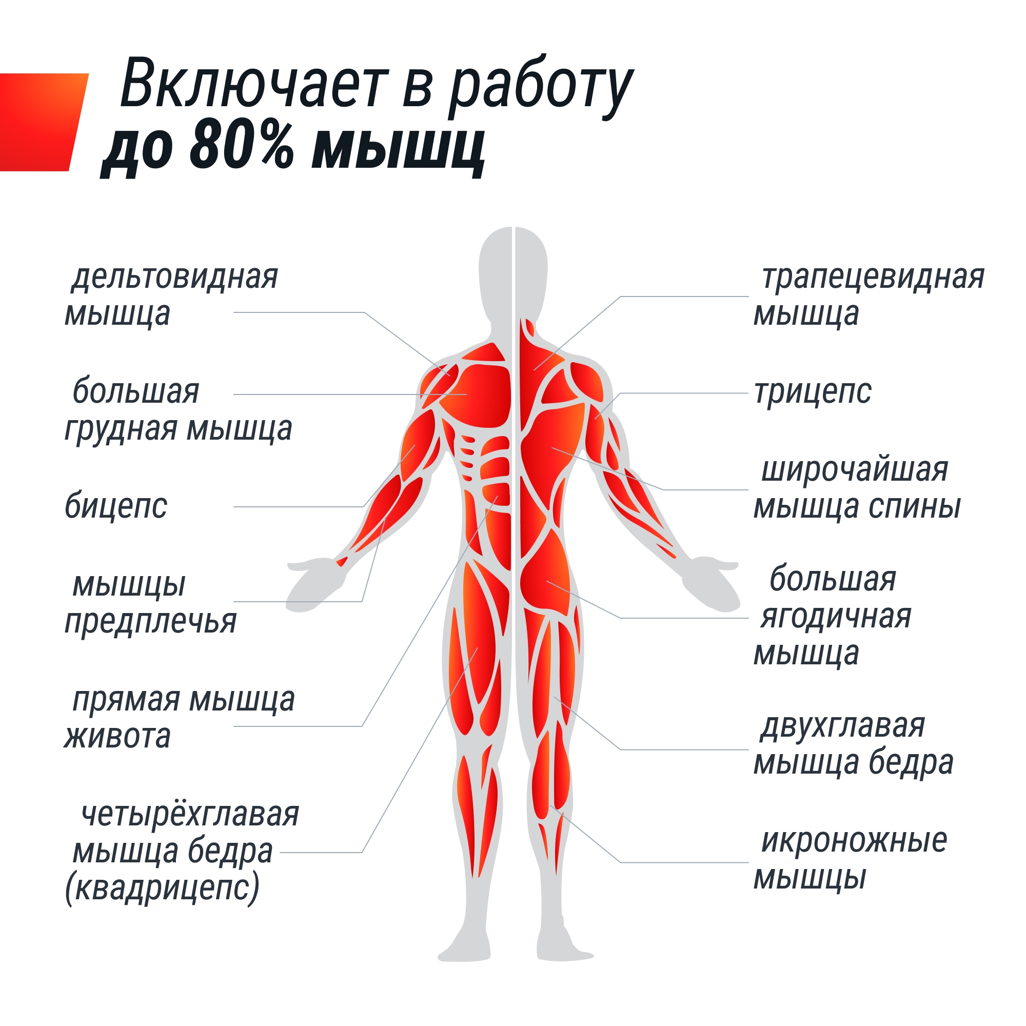 Гребной тренажер UnixFit Techno Rower 360 RMM360