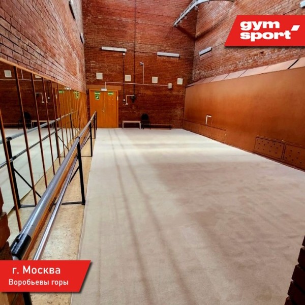 Ковер для художественной гимнастики GymSport PROF NEW 14Х14