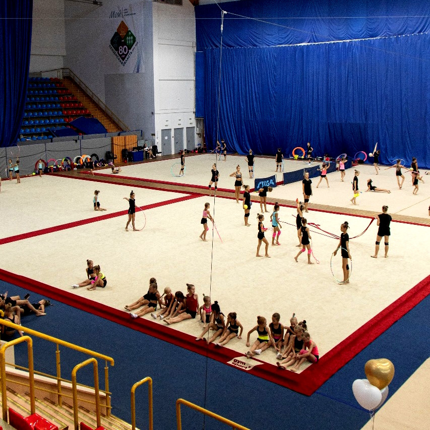 Ковер гимнастический GymSport PROF PREMIUM RED 14Х14
