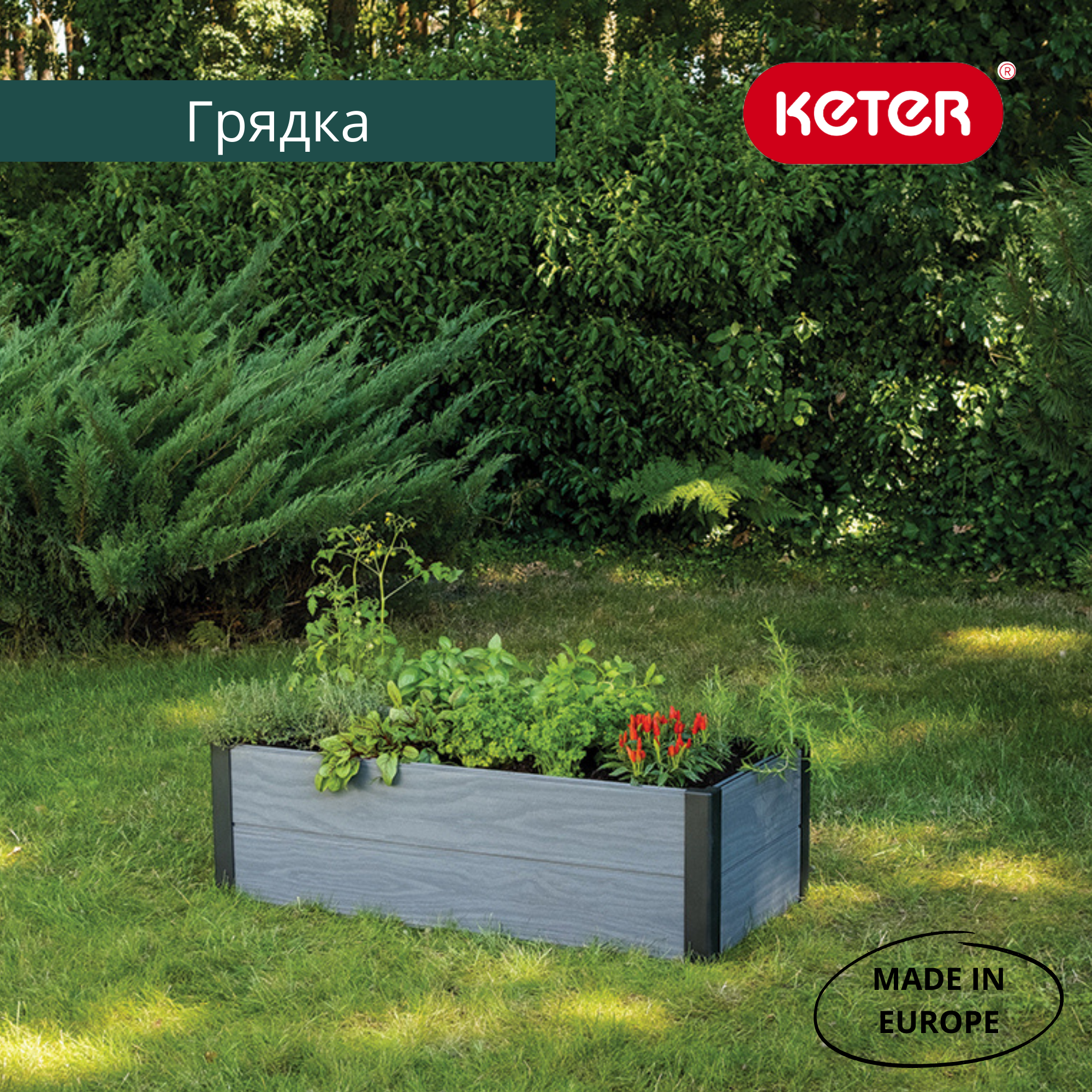 Кашпо-грядка, цвет графит MAPLE TROUGH для растений
