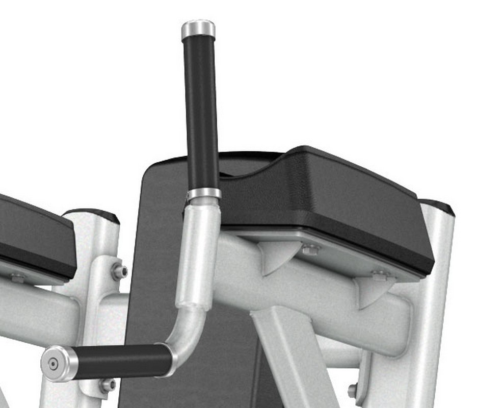 Подъем коленей\брусья Precor DBR702 | Premium Fitness