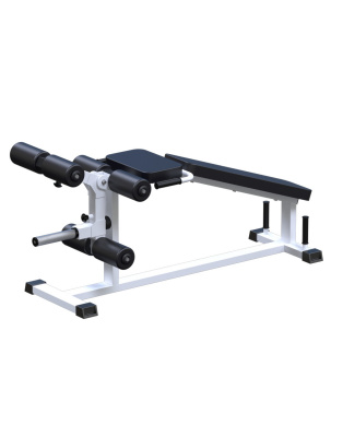 ARMS AR034 — Сгибание и разгибание ног | Premium Fitness