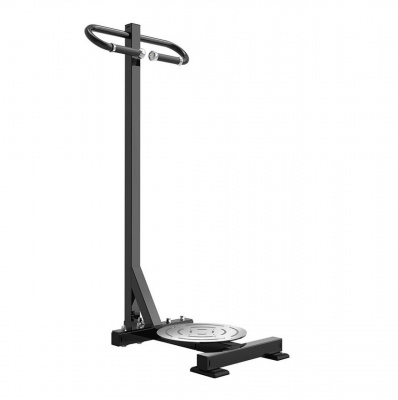 Станция для торса Protrain PP194 | Premium Fitness