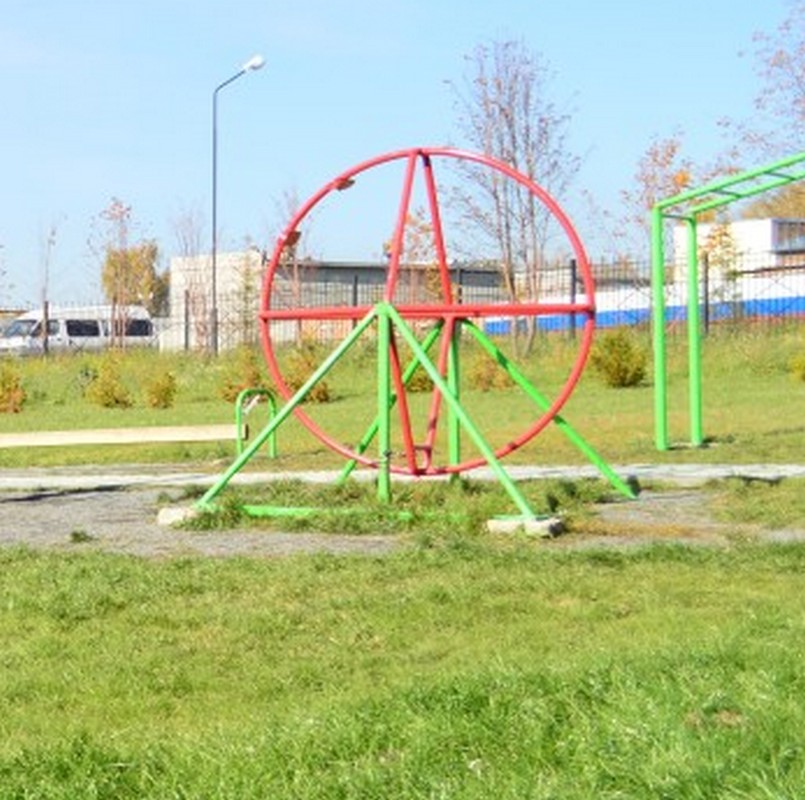 Рейнское колесо (армейский вариант)  4409