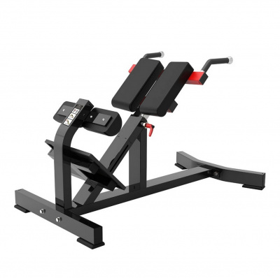Гиперэкстензия ProTrain PP111 | Premium Fitness