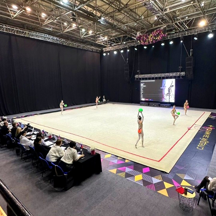 Ковер гимнастический GymSport PROF PREMIUM 4х11м