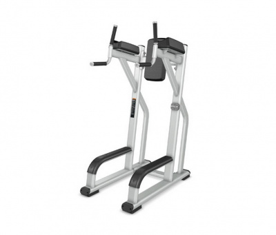 Подъем коленей\брусья Precor DBR702 | Premium Fitness