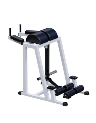 Обратная гиперэкстензия ARMS AR027.1 | Premium Fitness