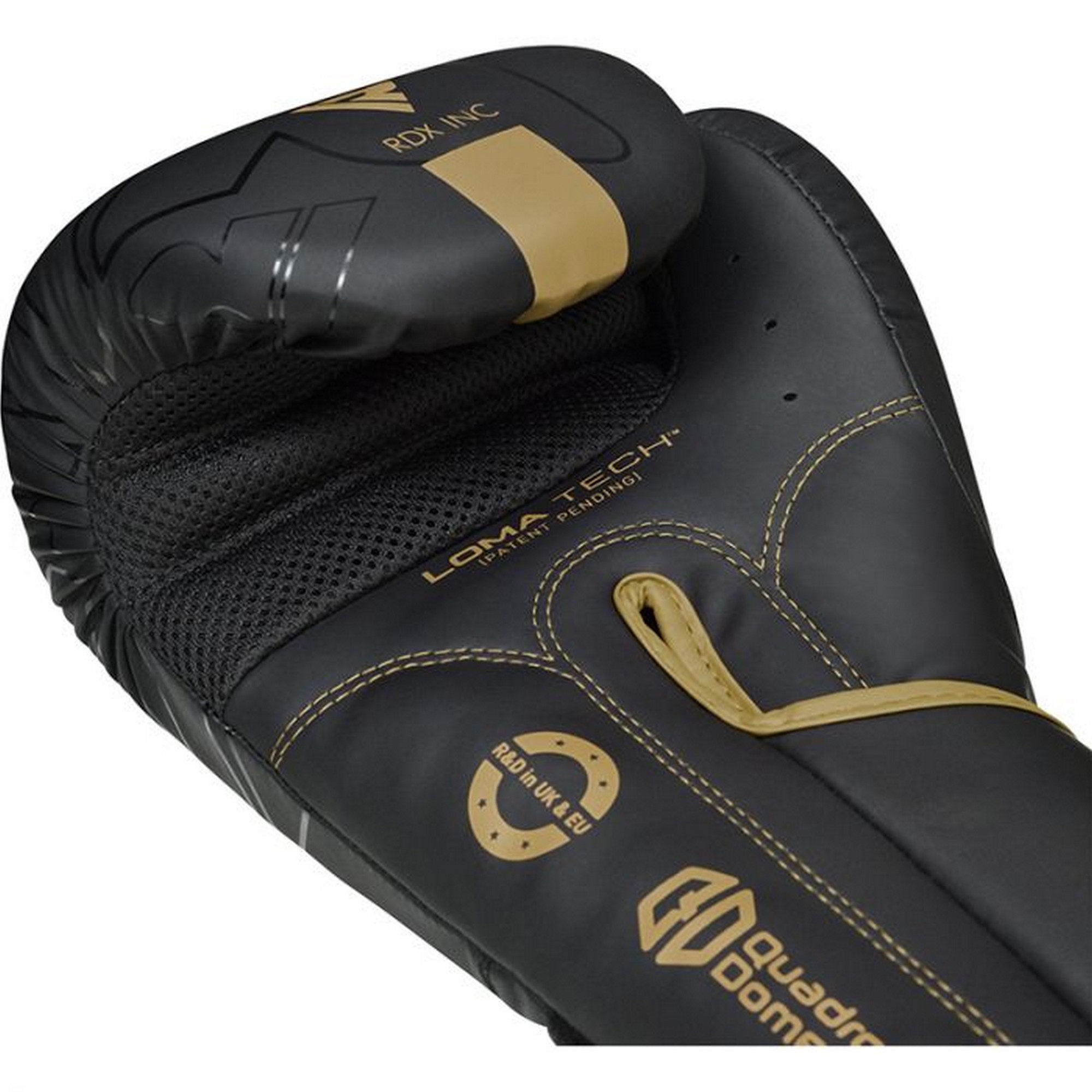 Перчатки тренировочные RDX BGR-F6MGL-12OZ черный\золотой матовый
