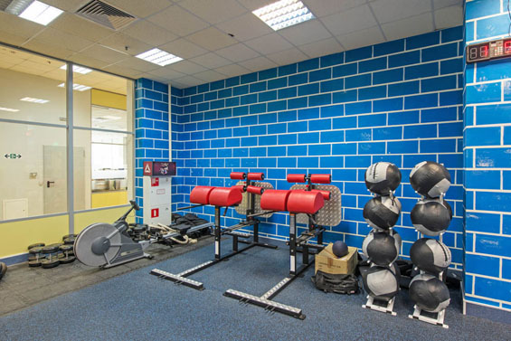 Скамья глют Foreman FW-115 | Premium Fitness
